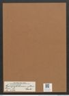 Campylodiscus nitens Castr. (de-Toni-Nr.: Genus 57, Species 2516) Zeichnungen Sammlung Grunow Mappe 02675 (Herbarium_W_Grunow_drawings_Folder_02675)